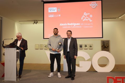 Premios Vide 25